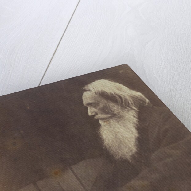Henry Taylor by Julia Margaret Cameron