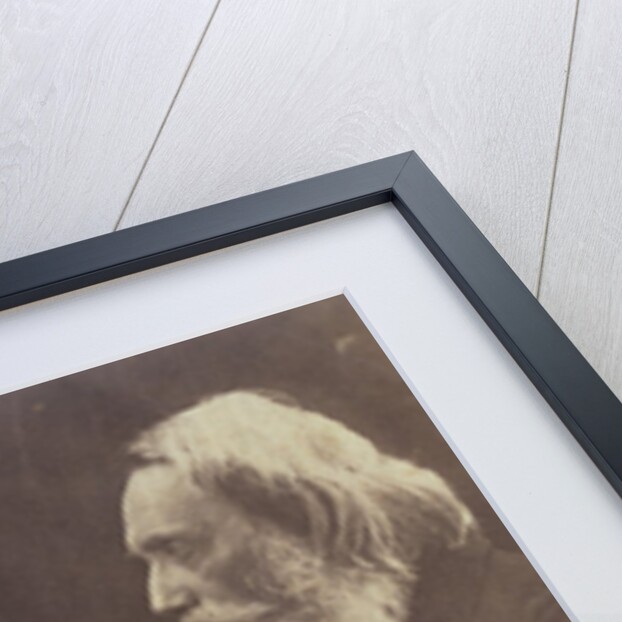 Henry Taylor by Julia Margaret Cameron