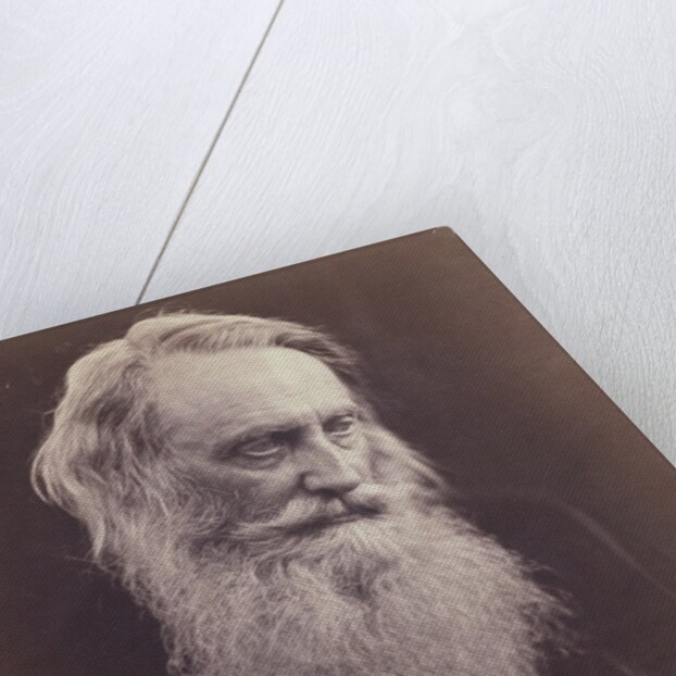 Henry Taylor by Julia Margaret Cameron