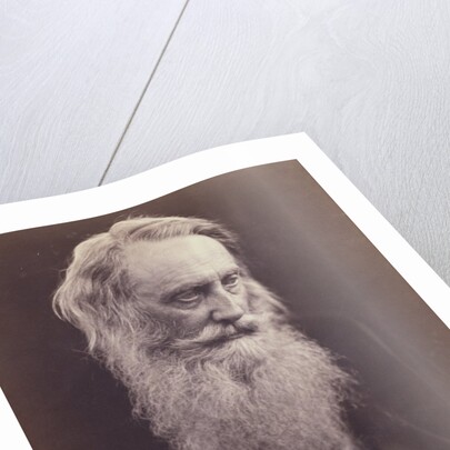 Henry Taylor by Julia Margaret Cameron