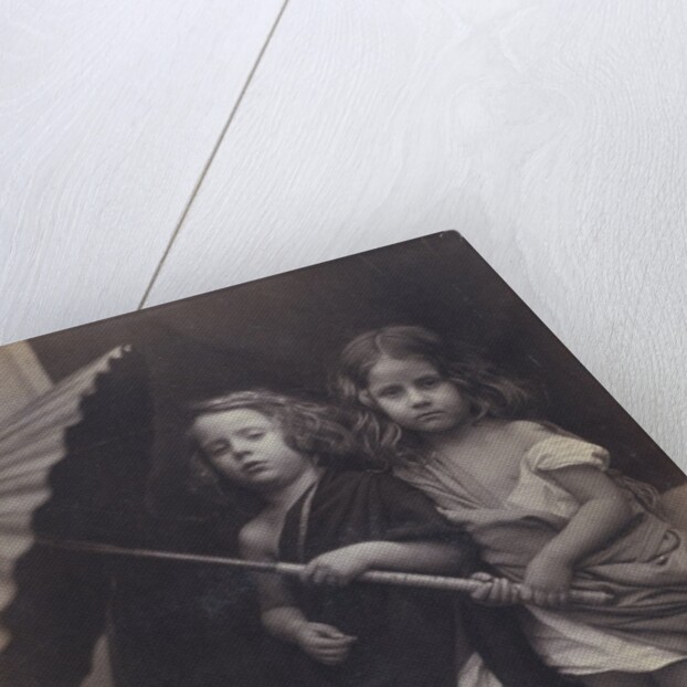 Paul and Virginia by Julia Margaret Cameron