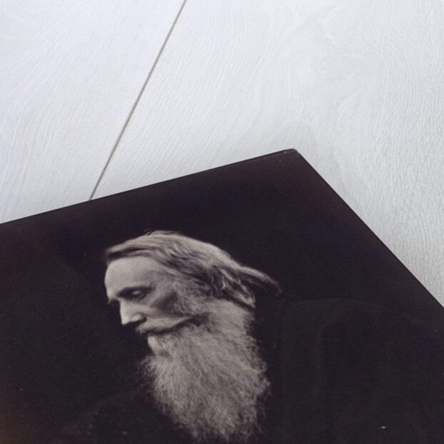 Henry Taylor by Julia Margaret Cameron