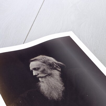 Henry Taylor by Julia Margaret Cameron