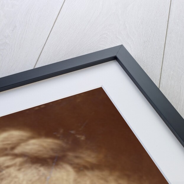 Egeria by Julia Margaret Cameron