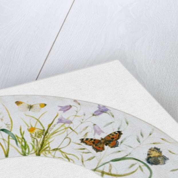 Design for a fan by Anonymous
