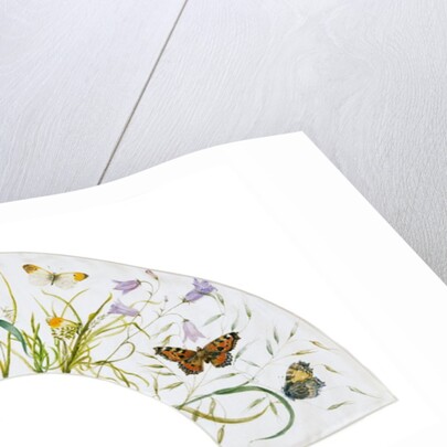 Design for a fan by Anonymous