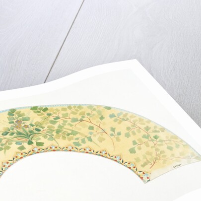 Design for a fan by Miss Anne Grose