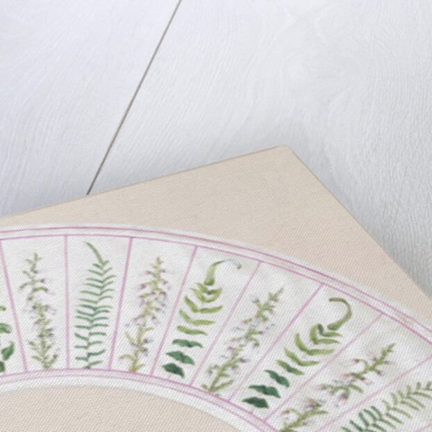 Design for a fan by P.A. Fry