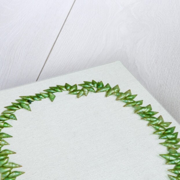 Necklace made from bright green Phasianotrochus eximius shells by unknown