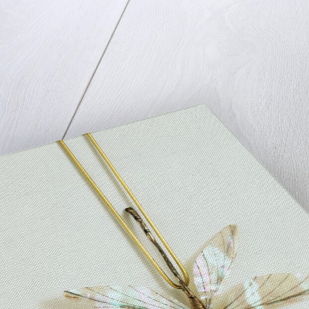 Hairpin by Unknown