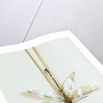 Hairpin by Unknown