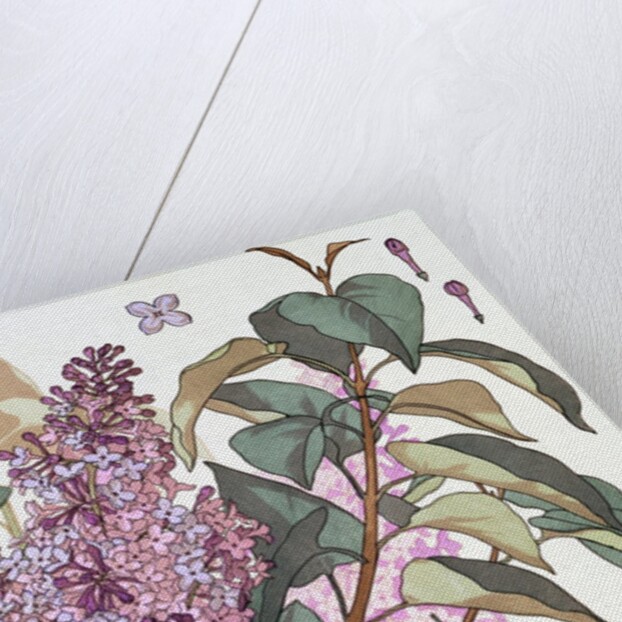 Lilac by Eugene Samuel Grasset