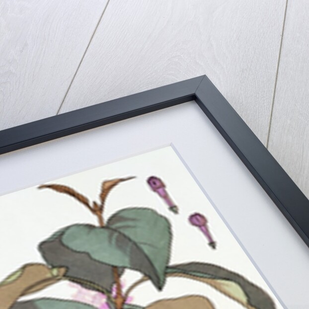 Lilac by Eugene Samuel Grasset