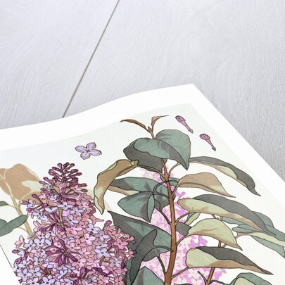Lilac by Eugene Samuel Grasset