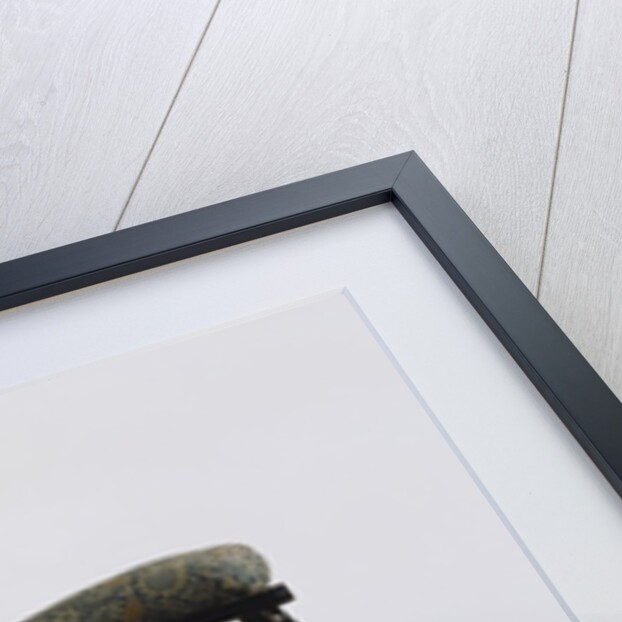 The Morris Adjustable Chair by Philip Webb