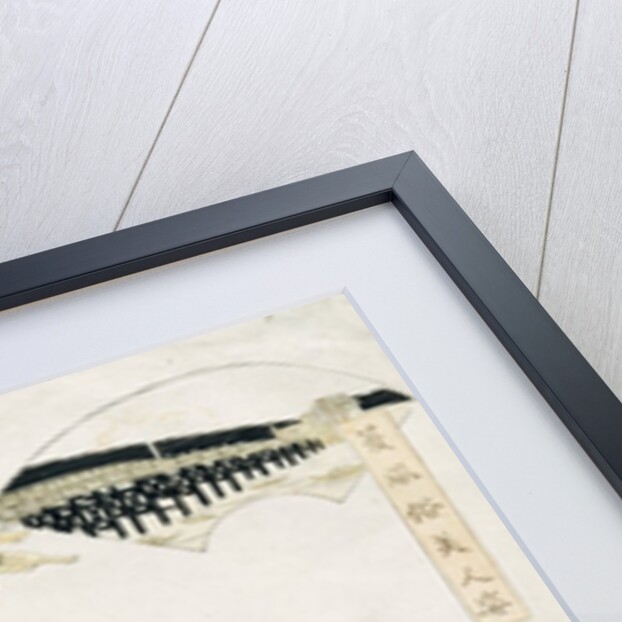 A girl standing at her toilet before a looking glass by Eisan