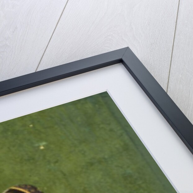 A lady with a wine flask and cup. India, 18th century by Unknown