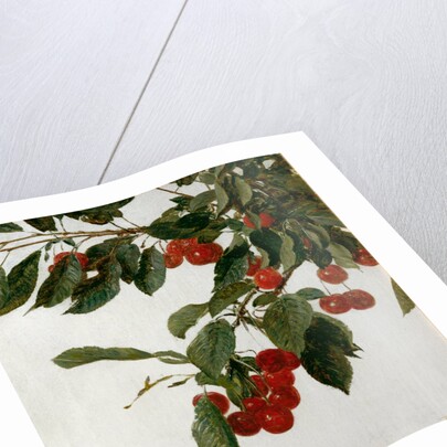 Cherries by Henri Fatin-Latour