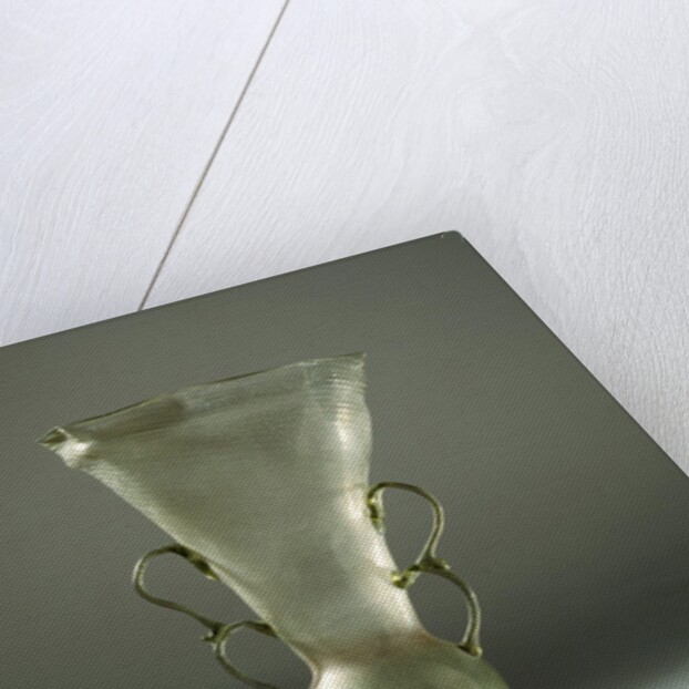 Vase by Unknown