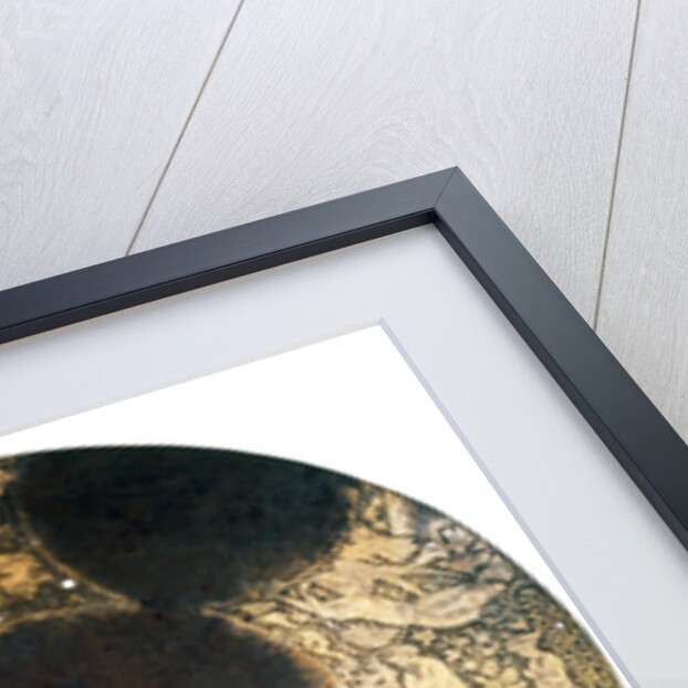 Astronomical disc. Persia, c.1642-1666 by Unknown