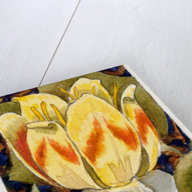 Lotus Flower by Various