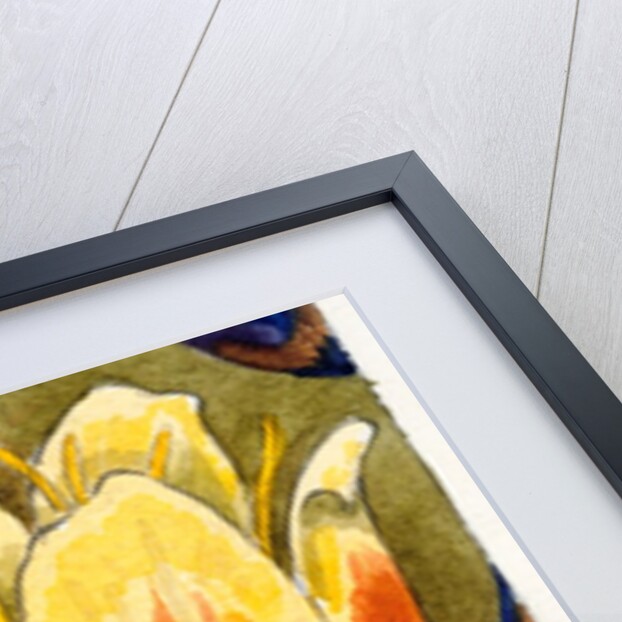 Lotus Flower by Various