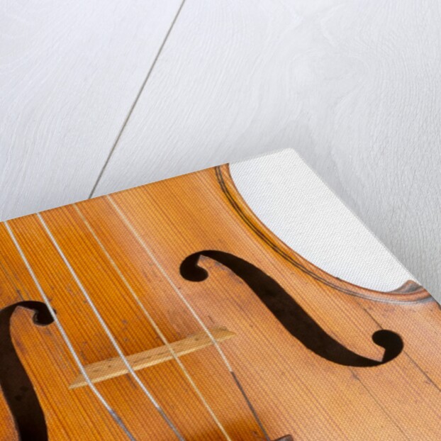 Violin, detail by Ralph Agutter