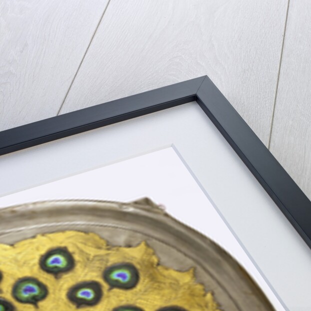 Peacock Sconce by Alexander Fisher