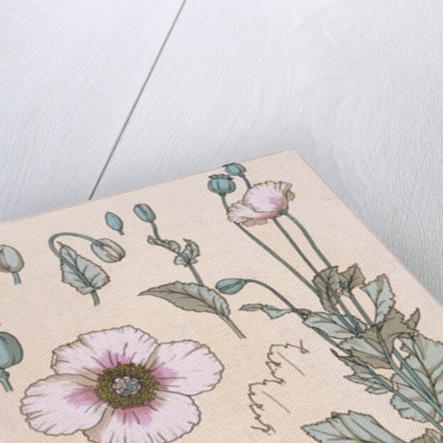 Poppies wallpaper by Eugene Samuel Grasset