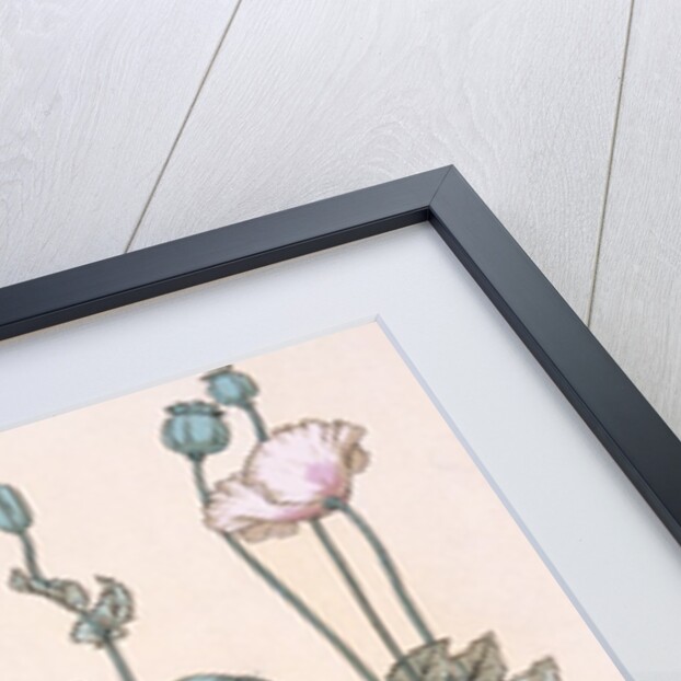 Poppies wallpaper by Eugene Samuel Grasset