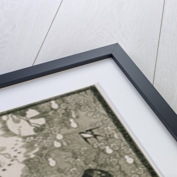 Wall Panelling and Display Cabinet by Anonymous