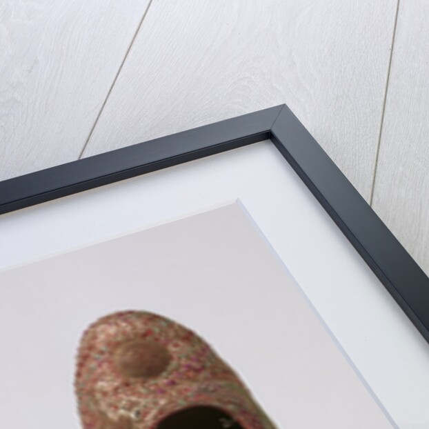 Bride's shoes by Unknown