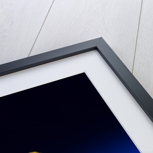 Woman's shoe. Britain, early 18th century by Unknown