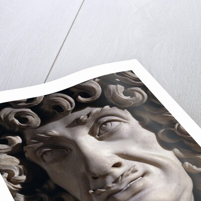 Charles II by Honoré Pelle