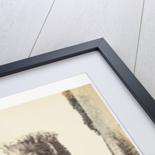 Raglan Castle by Francis Bedford