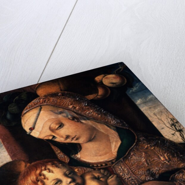 Virgin and Child by Carlo Crivelli