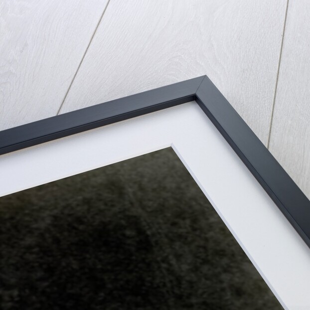 Georgia Graves dancing with ball by Anonymous