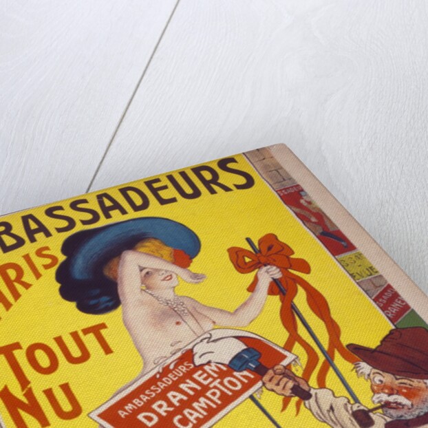 Ambassadeurs - Paris Tout Nu by Carlobali