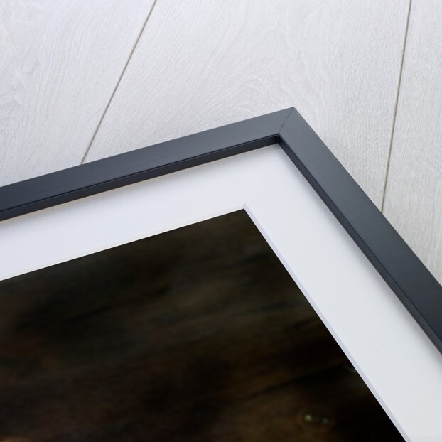 Bubbles by John Everett Millais