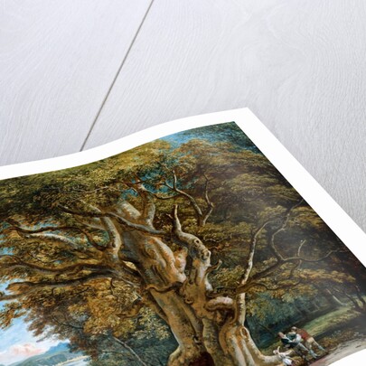 An Ancient Beech Tree by Paul Sandby
