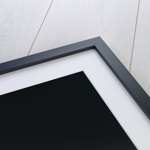 A Pug Dog by Louis François Roubiliac