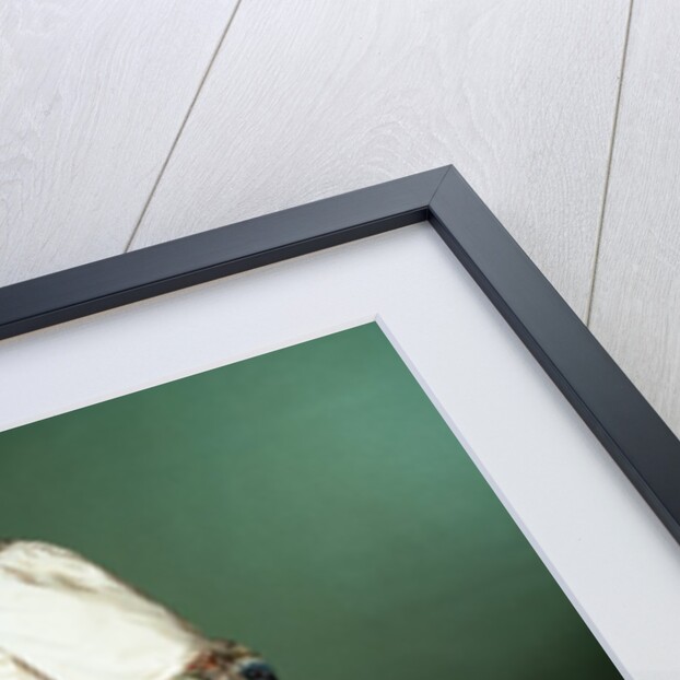 Mantua. English, mid-18th century by Unknown