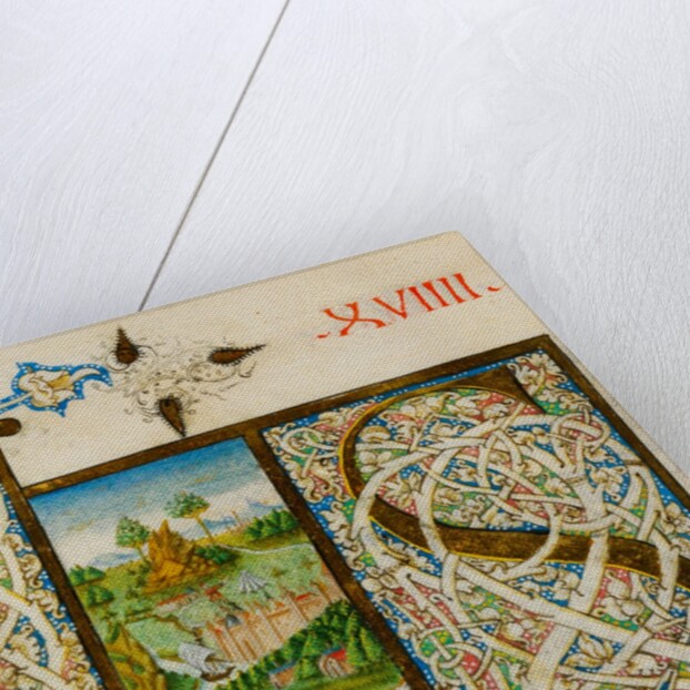 Initial S, from Pliny's Natural History. Italy, mid-15th century by Pliny the Elder