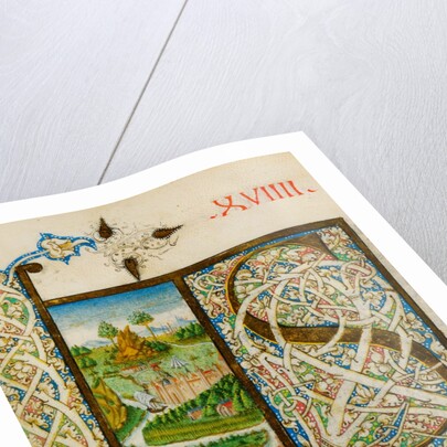 Initial S, from Pliny's Natural History. Italy, mid-15th century by Pliny the Elder