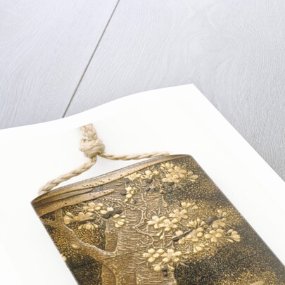 Inro depicting a Cherry tree by Kajikawa Bunryusai Tomohide