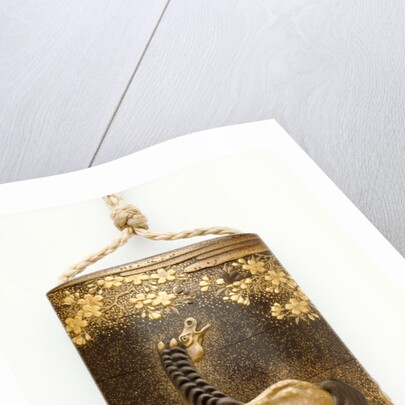 Inro depicting a horse by Kajikawa Bunryusai Tomohide