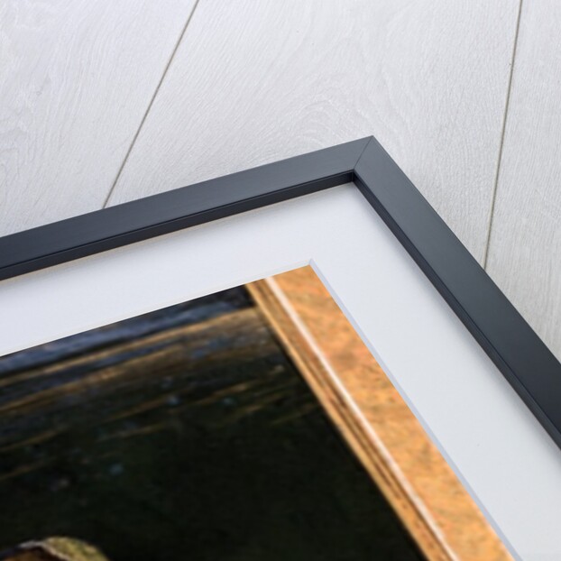 A lady holding a blossom by Unknown