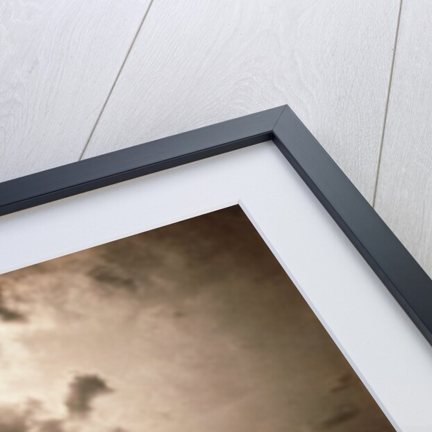 An Effect of The Sun by Gustave Le Gray