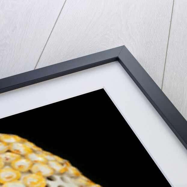 Pot-pourri vase. Derby, England, 18th century by Unknown