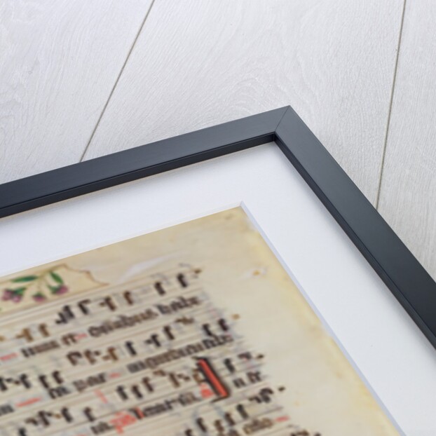 Leaf from an Antiphoner. Netherlands, early 16th century by Unknown